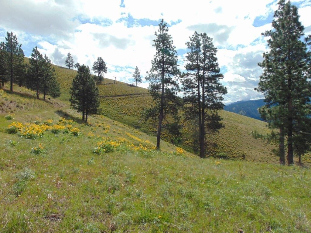 27235 Lazy Springs Road, Clinton, MT 59825 photo 87