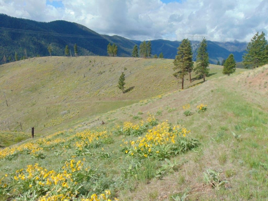 27235 Lazy Springs Road, Clinton, MT 59825 photo 89