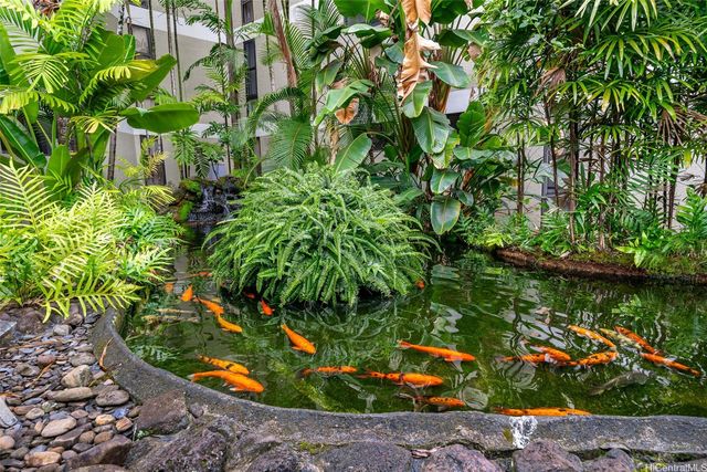 1020 Aoloa Place 311B, Kailua, HI 96734