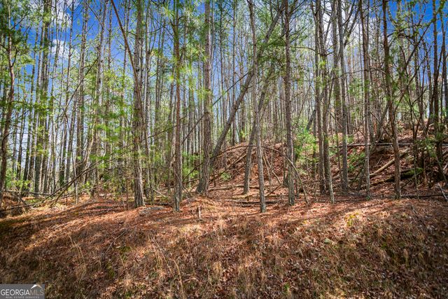 LOT 2326 Faraday Drive, Ellijay, GA 30540