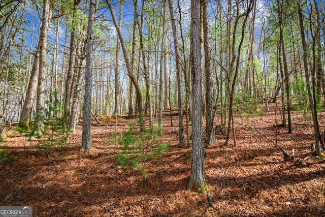 LOT 2326 Faraday Drive, Ellijay, GA 30540