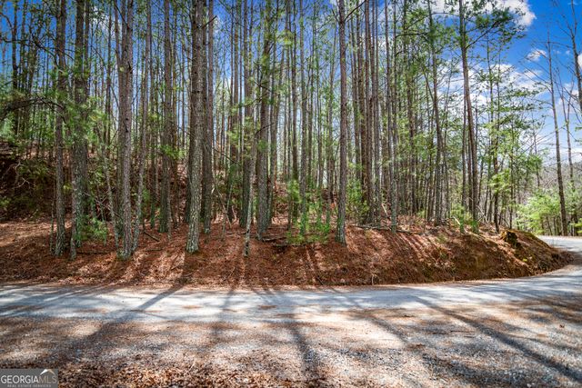 LOT 2326 Faraday Drive, Ellijay, GA 30540