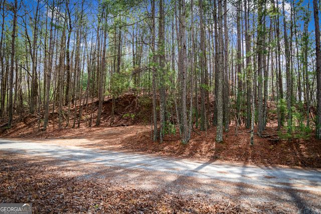 LOT 2326 Faraday Drive, Ellijay, GA 30540