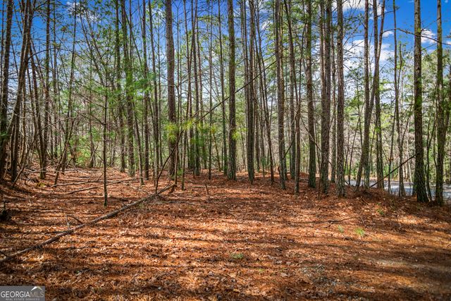 LOT 2326 Faraday Drive, Ellijay, GA 30540