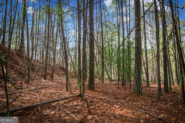 LOT 2326 Faraday Drive, Ellijay, GA 30540