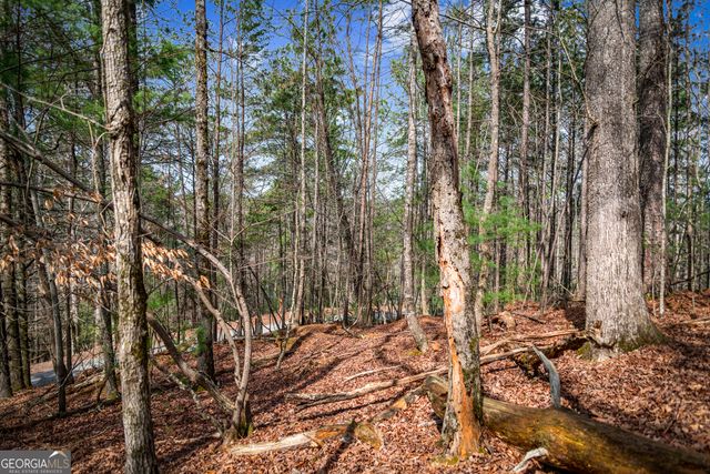 LOT 2326 Faraday Drive, Ellijay, GA 30540