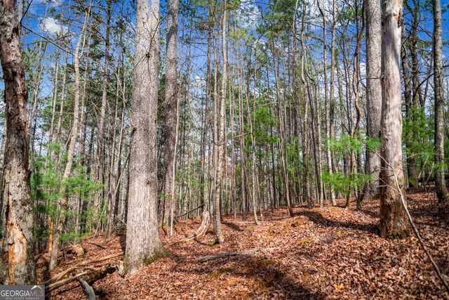 LOT 2326 Faraday Drive, Ellijay, GA 30540