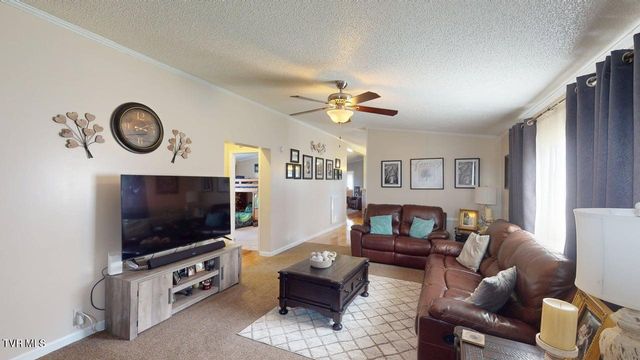 4250 North Mohawk Road, Mohawk, TN 37810