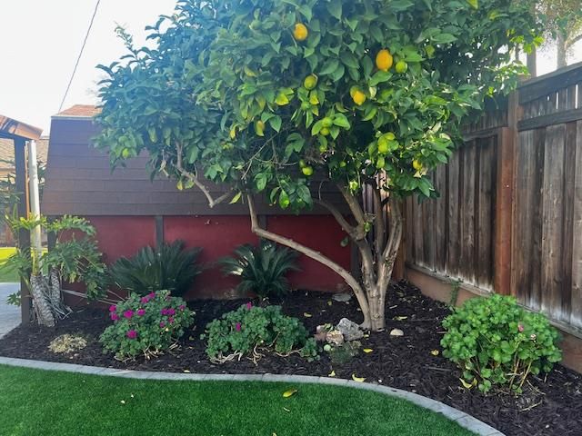 1406 Dentwood Drive, San Jose, CA 95118