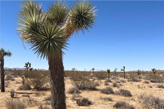 2814 Yucca Mesa, Yucca Valley, CA 92284