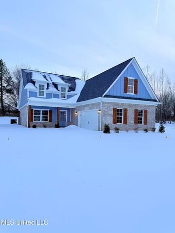 6065 Hickory Point Drive, Walls, MS 38680