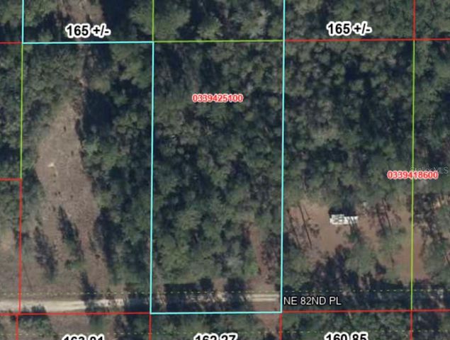 TBD NE 82ND PLACE, Bronson, FL 32621