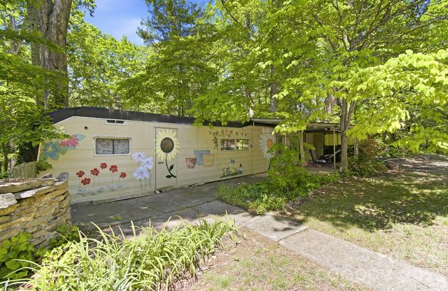 20 Reed Road, Asheville, NC 28805