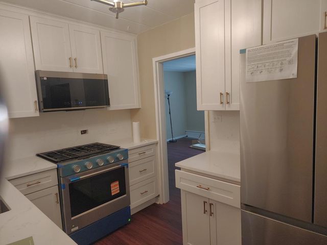 1318 Central Street 1N, Evanston, IL 60201