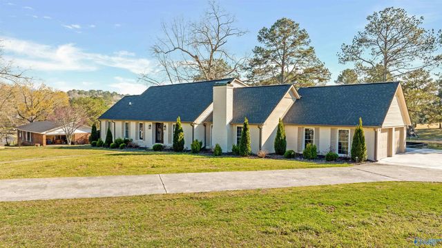 1212 Big Wills Drive NW, Fort Payne, AL 35967