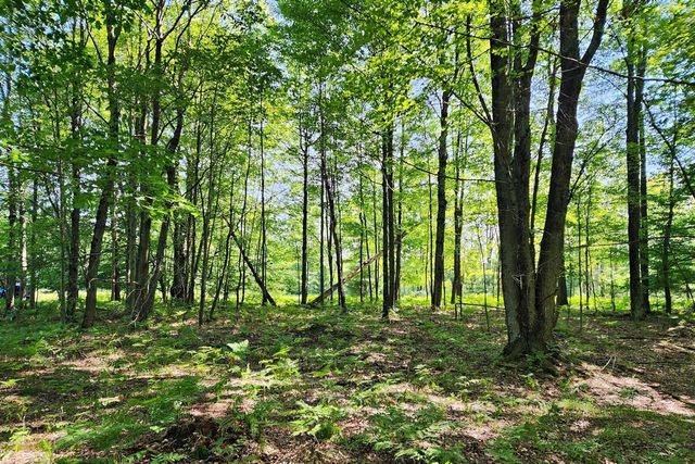 6127 Fawn Lake Drive, Canadian Lakes, MI 49346