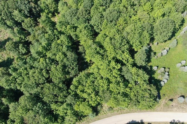 6127 Fawn Lake Drive, Canadian Lakes, MI 49346