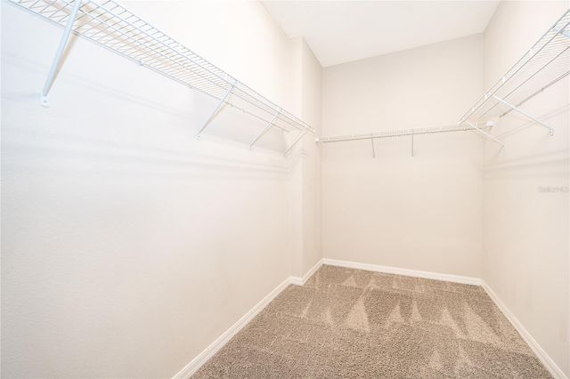 14123 LARKSPUR LAKE DRIVE, Winter Garden, FL 34787