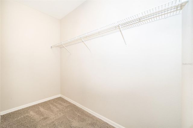 14123 LARKSPUR LAKE DRIVE, Winter Garden, FL 34787