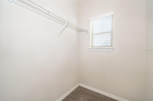 14123 LARKSPUR LAKE DRIVE, Winter Garden, FL 34787