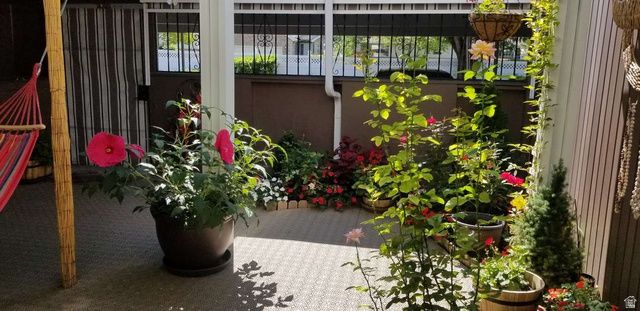 188 E 4635 N, Provo, UT 84604
