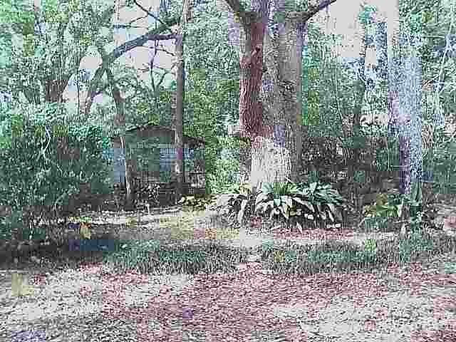 1514 MAJESTIC Avenue, Tallahassee, FL 32304