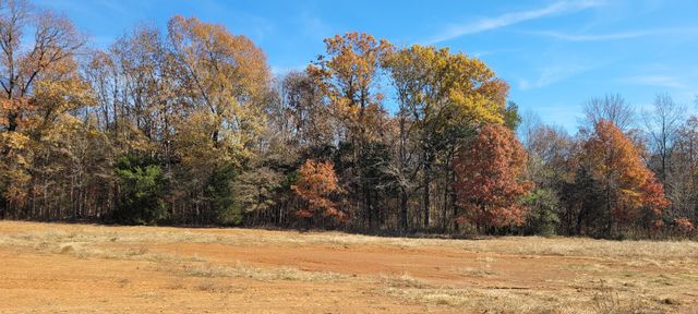 5 Mount Lebanon Church Rd, Shelbyville, TN 37160