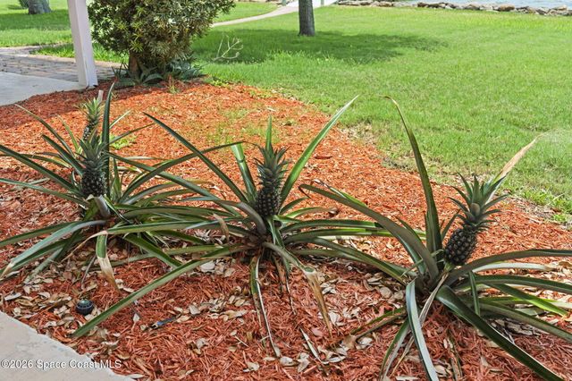 3028 Newfound Harbor Drive, Merritt Island, FL 32952