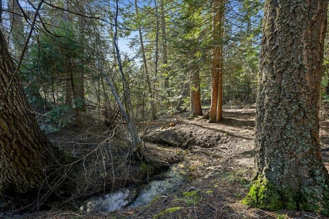 2541 Nicholson Rd, Elk, WA 99009