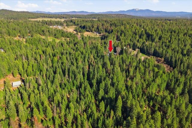 2541 Nicholson Rd, Elk, WA 99009