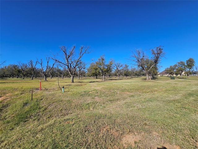 8313 W Landings Road, Granbury, TX 76049