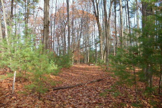 864 Se Blue Heron Drive, Orange Twp, MI 49646