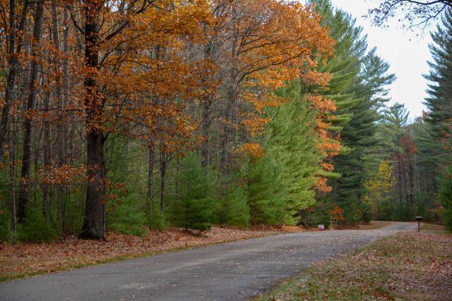 864 Se Blue Heron Drive, Orange Twp, MI 49646