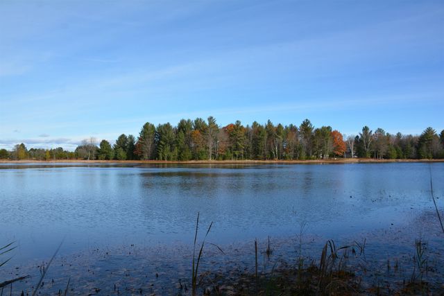 864 Se Blue Heron Drive, Orange Twp, MI 49646