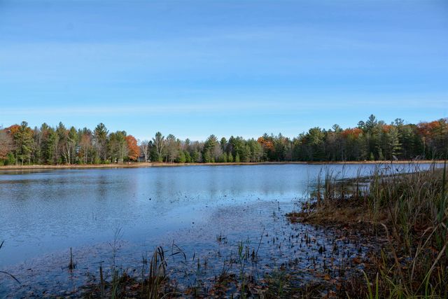 864 Se Blue Heron Drive, Orange Twp, MI 49646