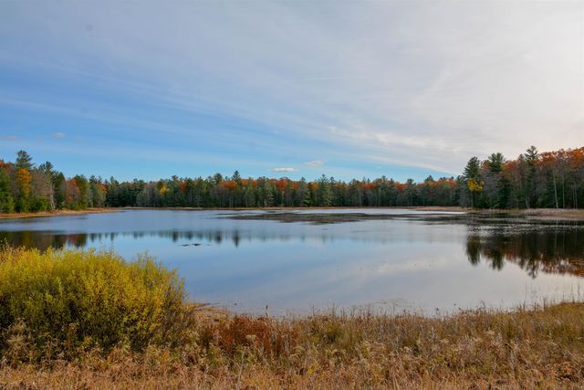 864 Se Blue Heron Drive, Orange Twp, MI 49646