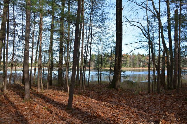 864 Se Blue Heron Drive, Orange Twp, MI 49646