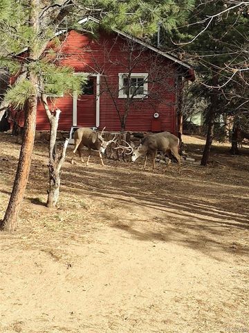 23094 Oh-Kay Road, Indian Hills, CO 80454