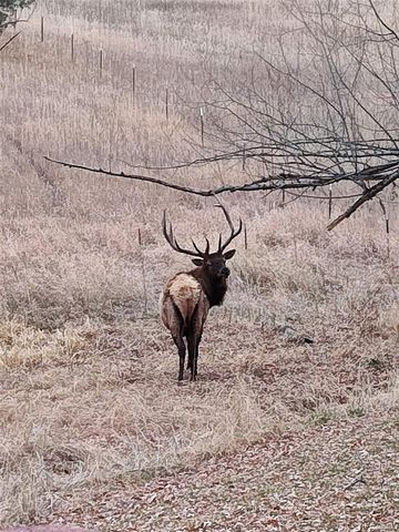 23094 Oh-Kay Road, Indian Hills, CO 80454