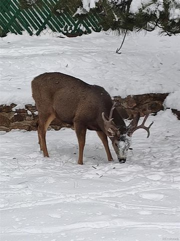 23094 Oh-Kay Road, Indian Hills, CO 80454