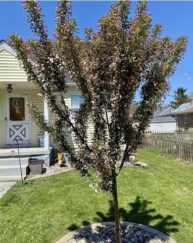 2830 Hoard Street, Madison, WI 53704