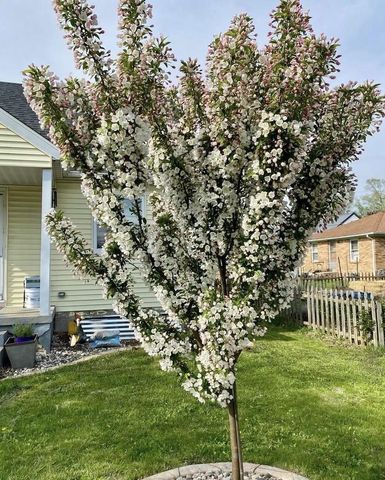 2830 Hoard Street, Madison, WI 53704