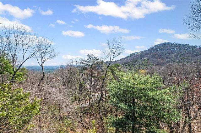 438 Red Fox Drive, Big Canoe, GA 30143