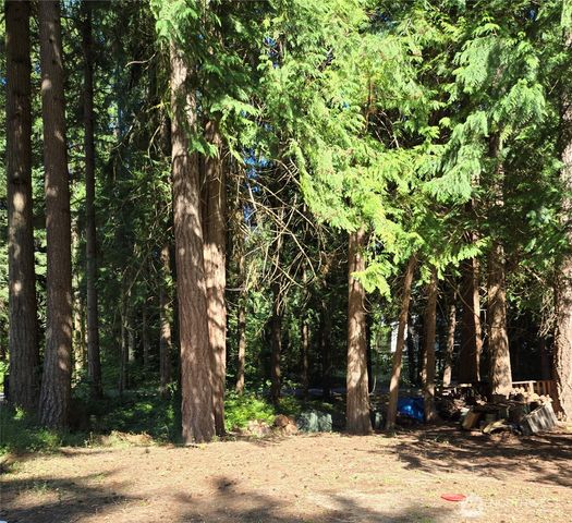 17707 N Beachside Dr SE, Yelm, WA 98597