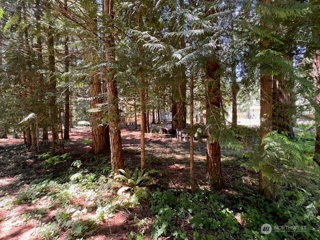 17707 N Beachside Dr SE, Yelm, WA 98597