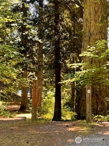 17707 N Beachside Dr SE, Yelm, WA 98597