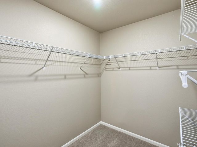 4663 Rabbitbrush Street, Johnstown, CO 80534