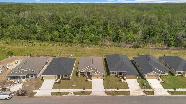 4480 SAGEFIELD, St Cloud, FL 34773