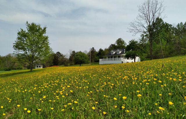 1037 High Rock Road, Stanton, KY 40380