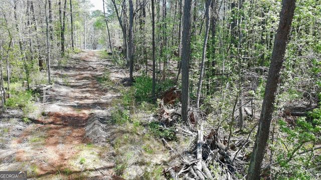100 Chippewa Trail, Canton, GA 30114